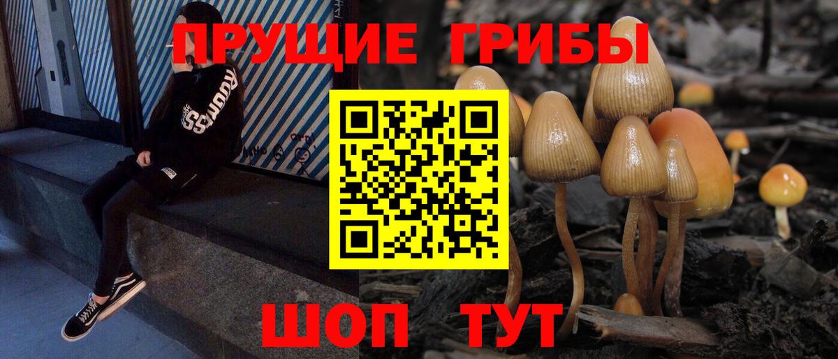 Дюртюли  Галлюциногенные грибы мицелий  Вход с VPN 